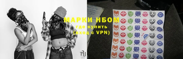 прущие грибы Алексин
