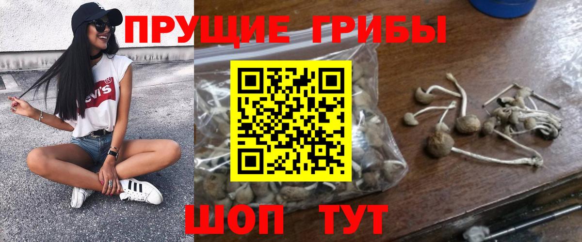 Галлюциногенные грибы мухоморы Пермь