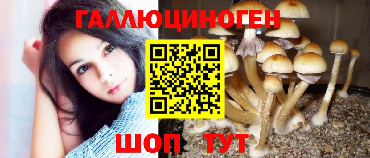 Пермь  Псилоцибиновые грибы Psilocybe  Вход с VPN 